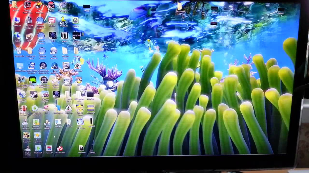 Sim aquarium 3 crack download